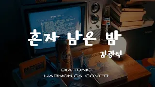 혼자 남은 밤, 김광석 | Diatonic Harmonica Cover