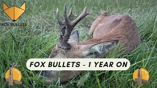 Fox Bullets 1 Year On