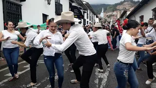 Baile Joropo Pamplona