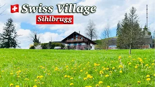 🇨🇭Sihlbrugg , Fairytale village in Switzerland | Spring 2022 | Swiss Village 4k #dandelions