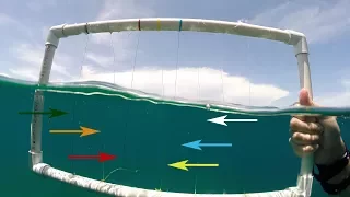 Underwater Visibility Test of Braided Fishing Lines