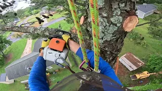 CLIMBING 2 PINES AND FIRST TIME USING MY PORTED 200T