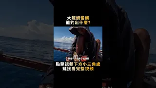 幾百一斤的大龍蝦當餌，卻總被吃白食，好在一條魚獲全回本了！#shorts