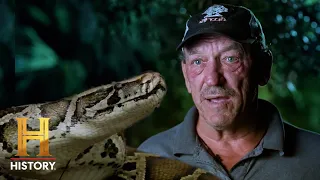 Troy vs. Nesting Burmese Pythons | Swamp People: Serpent Invasion (S4)