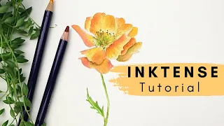 Unleashing the Magic of Inktense: painting a vibrant yellow flower