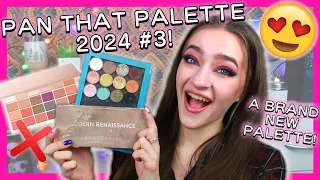 PAN THAT PALETTE 2024 #3!! (some HUGE changes!!) #panthatpalette #projectpan #eyeshadow