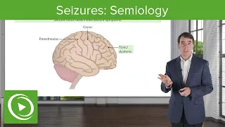 Seizures: Semiology | Clinical Neurology