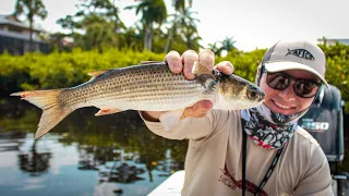 FISHING WITH BIG LIVE MULLET FOR SEAWALL GIANTS!