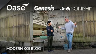 Modern Koi Blog #5568 - Live aus Japan: Mit Makoto beim Füttern im Tategoiglashaus