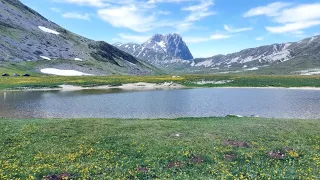 Mountain Lake Ambience | Relaxing Nature Sounds with Birds Singing and Lapping Water