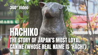 360 Video | Hachiko: The Story of Japan's Most Loyal Canine (Whose Real Name is 'Hachi')