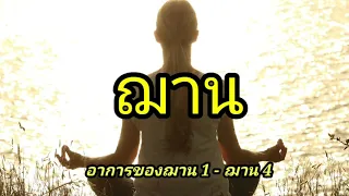 อาการของฌาน ตั้งแต่ฌาน1ถึงฌาน4 ฟังธรรมะก่อนนอน Dhamma delivery