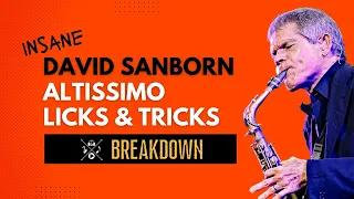 INSANE DAVID SANBORN ALTISSIMO LICKS & TRICKS (# 3 is mind blowing)