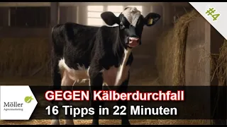 16 Tipps GEGEN Kälberdurchfall und FÜR gesunde Kälber! Teil #4