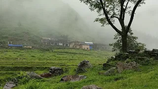 O My god's 🙏Non Except Rain In Jiree Village Nepal||Village Of Nepal||@RURALLIFENEPAL