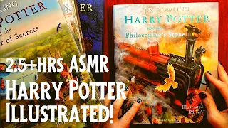 ASMR | Mammoth Harry Potter Illustrated Books Show & Tell! Whispered Chat & Page Turning Sounds