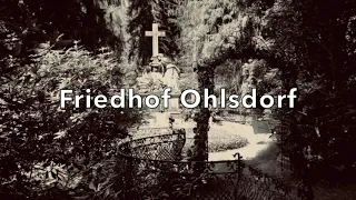 Friedhof Ohlsdorf / Hamburg