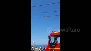 Firefighters rescue a cat stuck on an electric pole