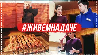 #ЖивемНаДаче день 1 | У меня ПАНИКА