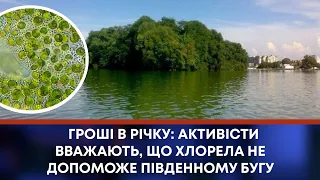 ТВ7+. ГРОШІ В РІЧКУ: АКТИВІСТИ ВВАЖАЮТЬ, ЩО ХЛОРЕЛА НЕ ДОПОМОЖЕ ПІВДЕННОМУ БУГУ