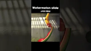 Watermelon slide #shorts #larva #lardura