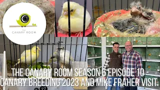 The Canary Room Season 6 Episode 10 - Back in the Room and the Bird Room of Mike Fraher