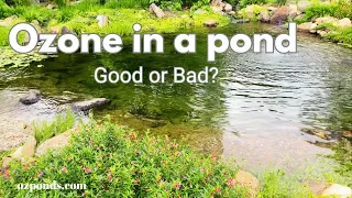 Ozone in a pond. Good or Bad?