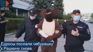 ⭕️ Едросы послали чебурашку к Рашкину снова