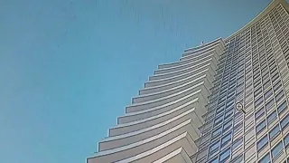 CAT FALLS 33 FLOORS AND SURVIVES.