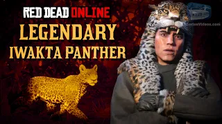 Red Dead Online - Legendary Iwakta Panther Mission [Animal Field Guide]