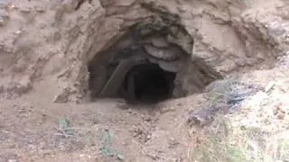 Looking at an Entrance to an Abandoned Mine