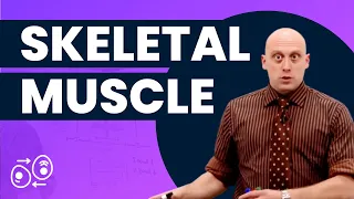 Skeletal Muscle (Sample Lesson) | Preclinical | Physiology | @OnlineMedEdCom