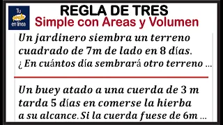 REGLA DE TRES 02: Regla de Tres Simple con Áreas y Volumen