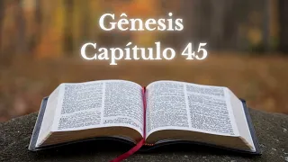 BÍBLIA EM ÁUDIO | GÊNESIS - CAPÍTULO 45