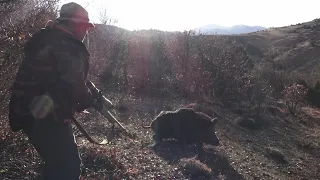 A Gorgeous Hunting Day in Central Anatolia (with subtitle)