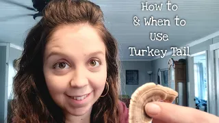 What You Need to Know About Turkey Tail Mushroom - How to Identify, Preserve and Use