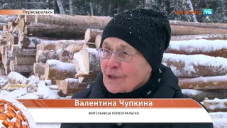 Вырубка леса 10 01 19