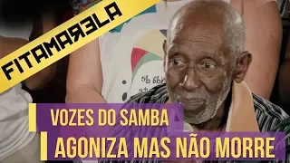 Agoniza Mas Não Morre  - Nelson Sargento, Lula Matos & Terças Desamplificadas
