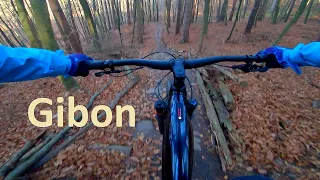 BFW Gibon || BigFoot Works Bikepark || TPK Sopot Gdańsk