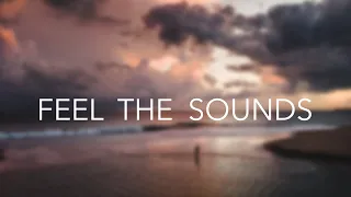 Feel the sounds - Cinematic drone footages | Sri Lanka