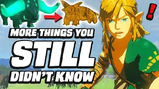 33 MORE Things You STILL Didn't Know In Zelda Tears Of The Kingdom