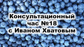 Консультационный час 18 (25 апреля 2023)