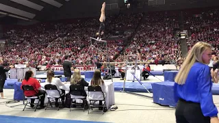 DU Gymnastics at 2019 Alabama Quad Meet - Mia Sundstrom - Bars (9.825)