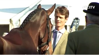 FEI Classics™ 2014-2015 - Les Etoiles de Pau - William Fox-Pitt (GBR)