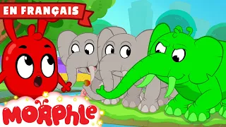 Orphie joue à cache-cache  | Morphle en Français | Dessins Animés Pour Enfants