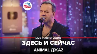 Animal ДжаZ - Здесь и Сейчас (LIVE @ Авторадио)