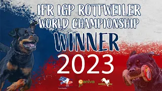 IFR IGP World Championship 2023 // Iliak vom Kinzigtal // Radek Amler