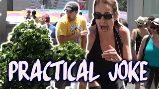 Funny Practical Joke - Bushman Scare Prank - Combined Episodes - Las Vegas - Funny Video Ryan Lewis