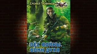 Воин духа. Книга 3. Пёс войны (Ерофей Трофимов) Аудиокнига