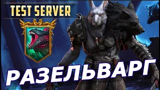 RAID: РАЗЕЛЬВАРГ / НЕВОЗМОЖНАЯ ГИДРА 🐉 / ПОДЗЕМЕЛЬЕ / АРЕНА ⚔️ (ОБЗОР/ГАЙД) ЗБТ 🔥🔥🔥